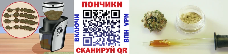 Canna-Cookies марихуана  где продают   Кисловодск 