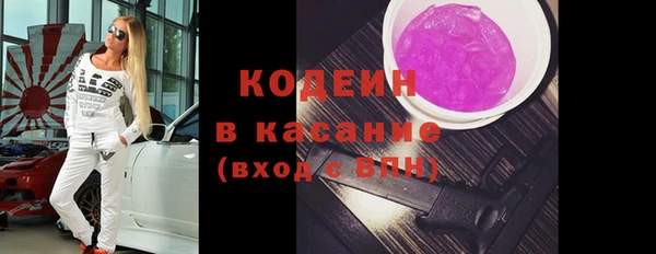 шишки Фёдоровский