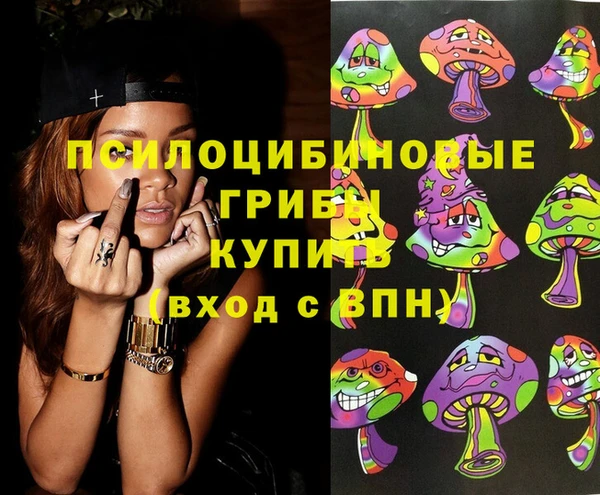 шишки Фёдоровский