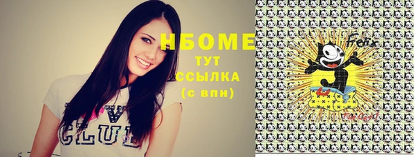 шишки Фёдоровский