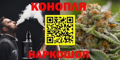 мдпв Холмск