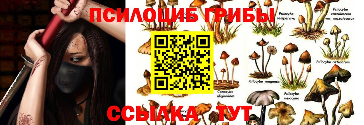 Кисловодск  Псилоцибиновые грибы Psilocybe  Вход с VPN  Галлюциногенные грибы GOLDEN TEACHER 